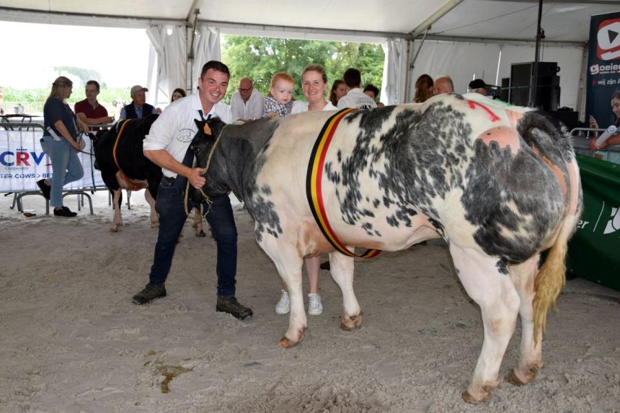 Bijoux van het Kruisborre