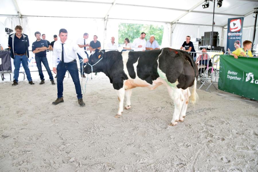 Chanel van het Kruisborre