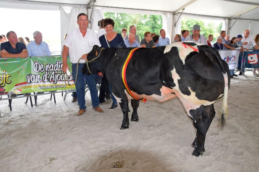 Gerante de Thiboumont