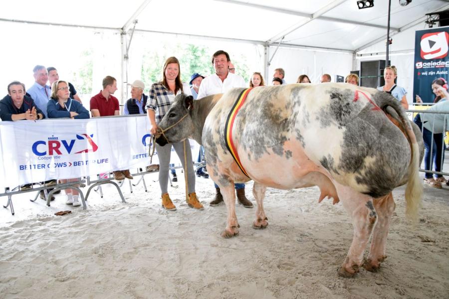 Noa van de Merehoekstraat