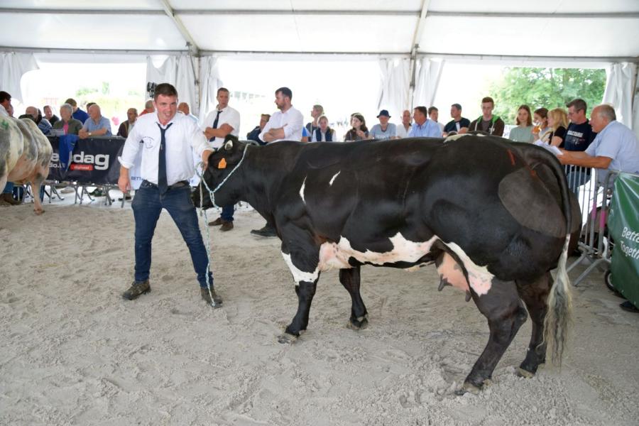 Providence van het Kruisborre