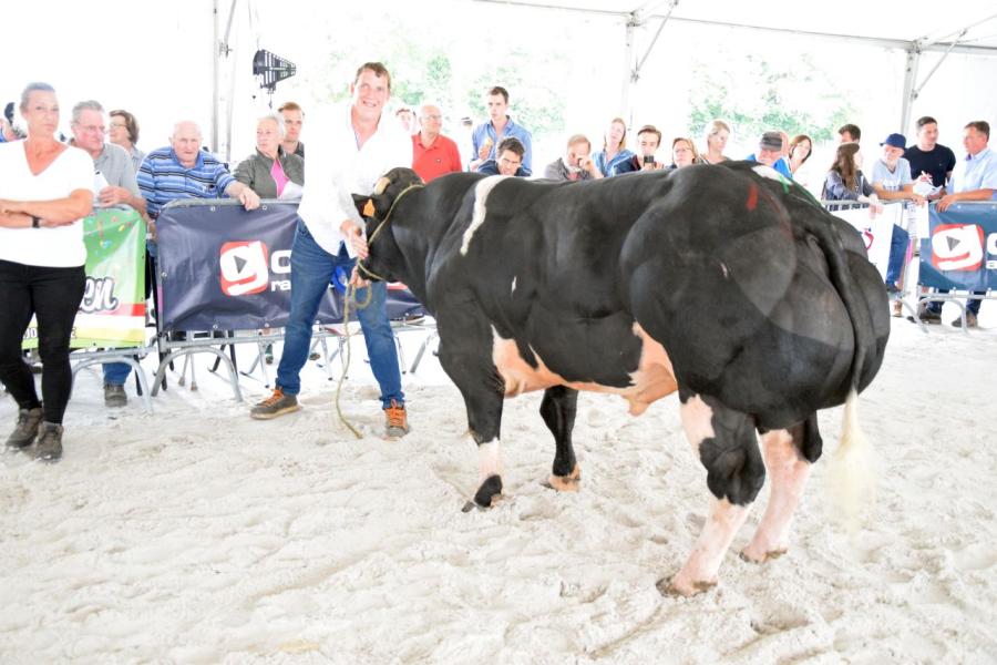 See You van de Kerkenhofstede