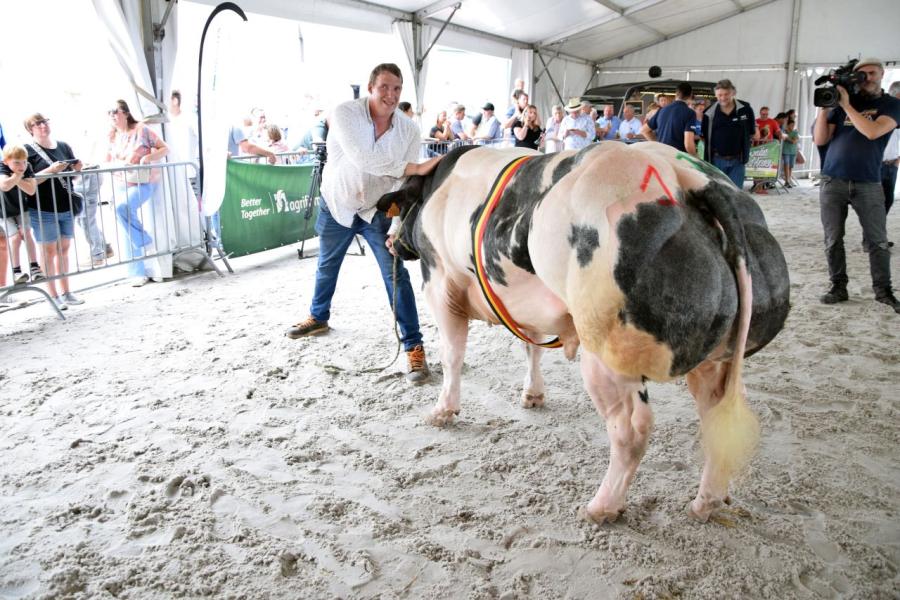 Toy-Boy van de Otterhoeve