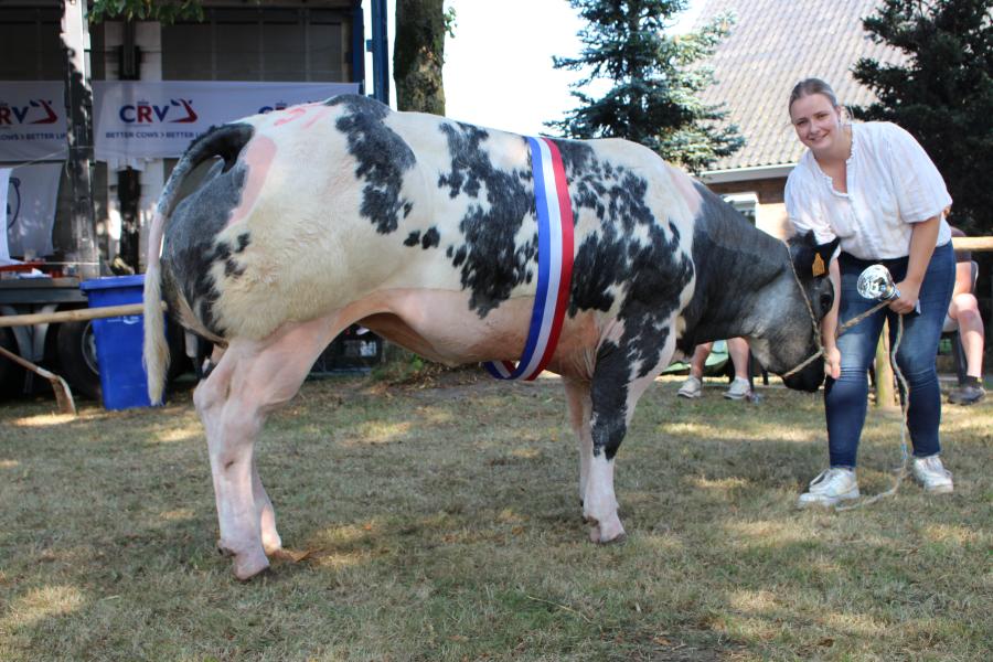 Rifle de Saile (v. Courtois), kampioen oude vaarzen