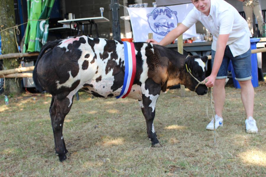 Anastasia van het Waterland (v. Oulare), kampioen vaarskalveren