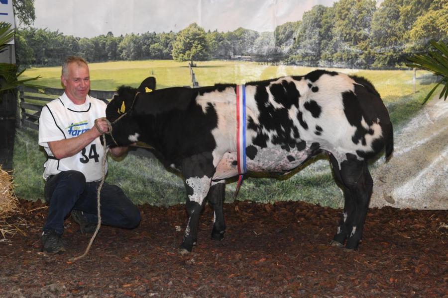 Anastasia van het Waterland