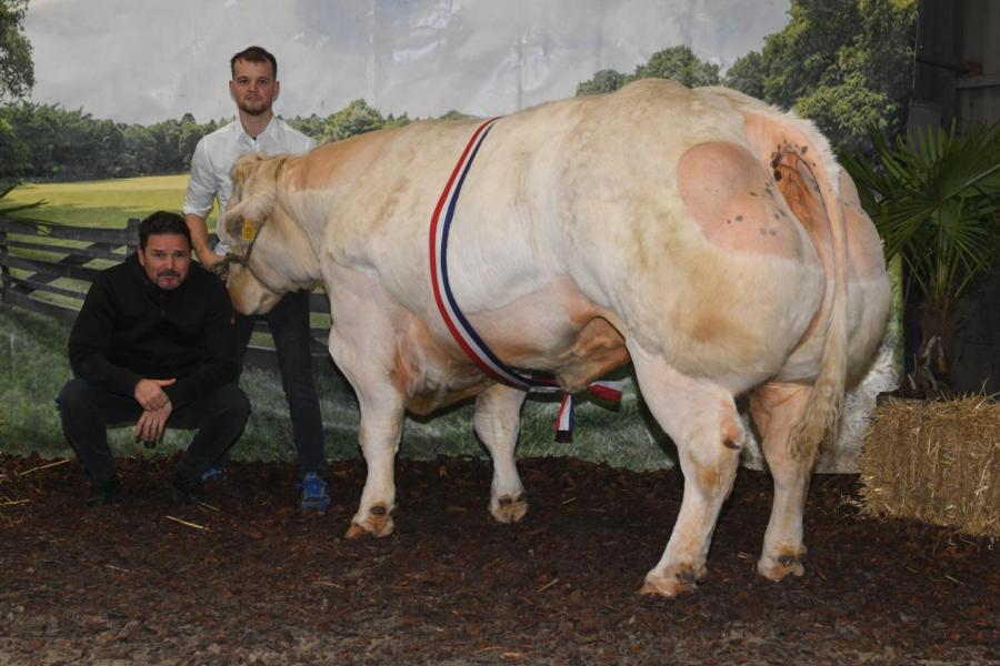 Kanasai aan de Wolfsboom