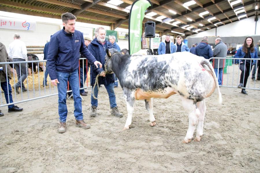 Scarlet van Duyversputten