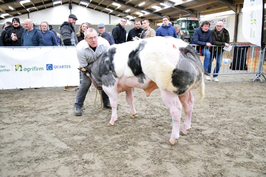 Don van het Kruisborre