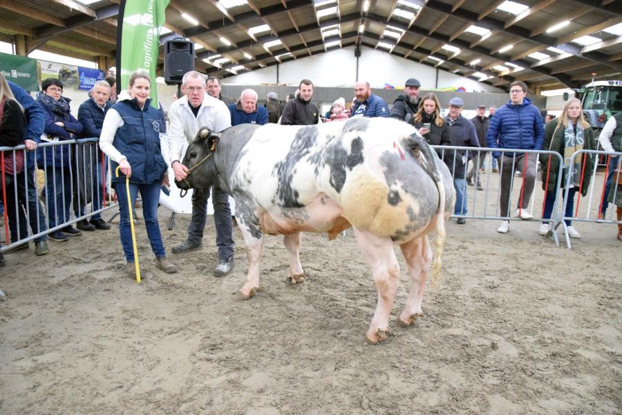 Cooper van het Kruisborre