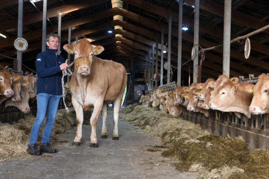 Marcel Gerritsen: ‘Een blonde moet rastype bezitten, fijn zijn in het bot en vel en ruimte hebben voor bespiering'