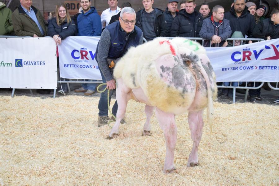 Usher van de Sluizenweg