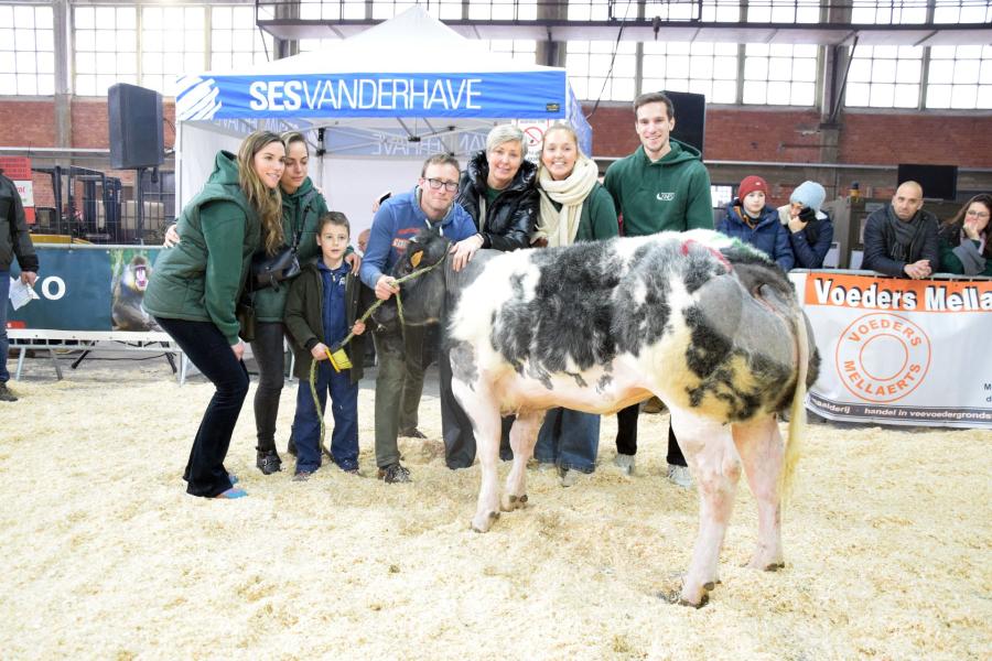 Usanne van de Wolvendreef