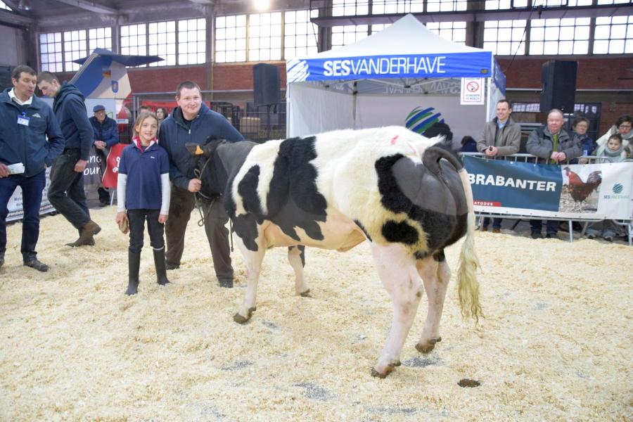 Danoise du Cortil Gayot