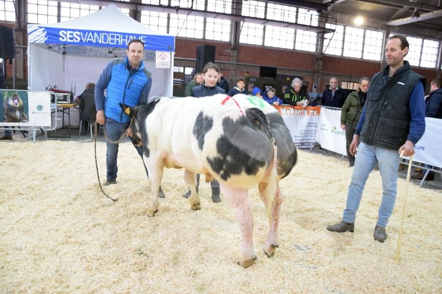 Wandor van de Scholierenhoeve