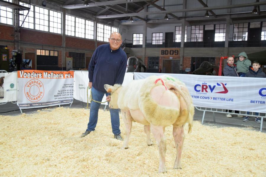 Dalida van de Bremberg