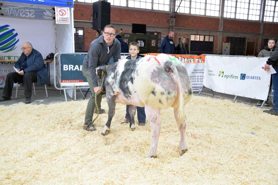 Ultratop van Terbeck