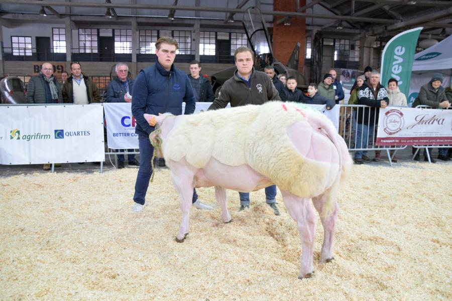 Princess van de Breehoeve