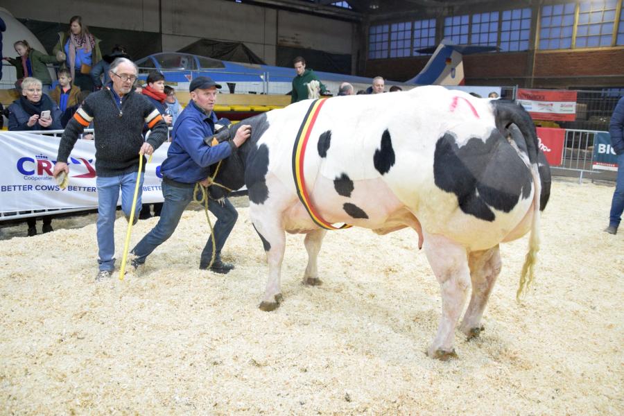 Onica van de Hemelrijkehei