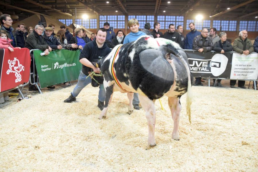 Teppanyaki van Terbeck