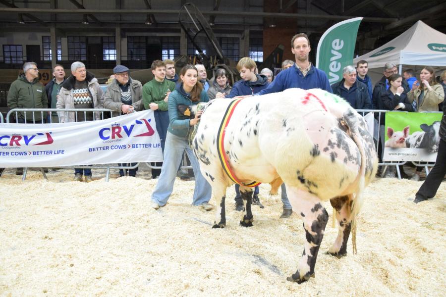 Vito van de Scholierenhoeve