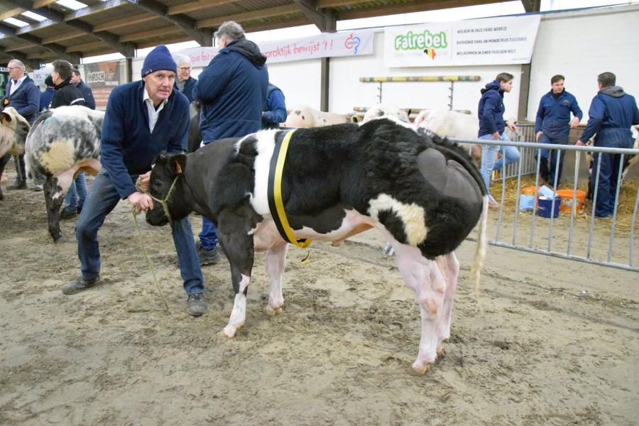 Don Juan van het Kruisborre