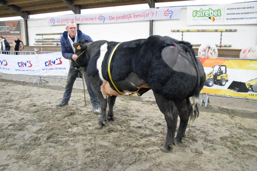 Chateau van het Kruisborre