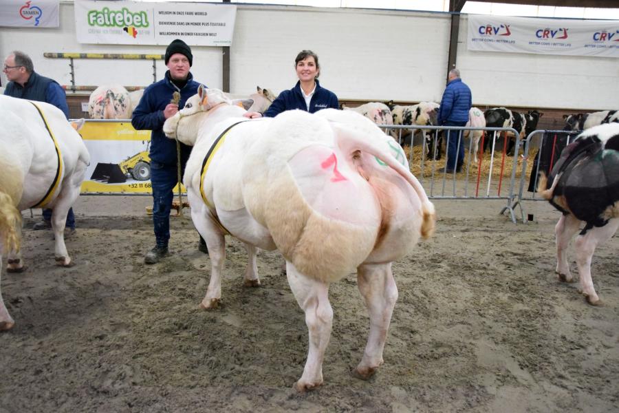 Tiddly Winks van het Smetledehof