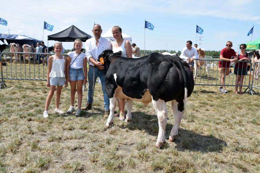 Dalton Hof Ter Goedtmoed