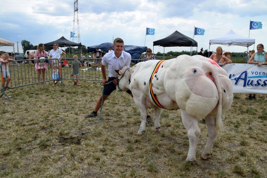 Ulla van de Stokerij