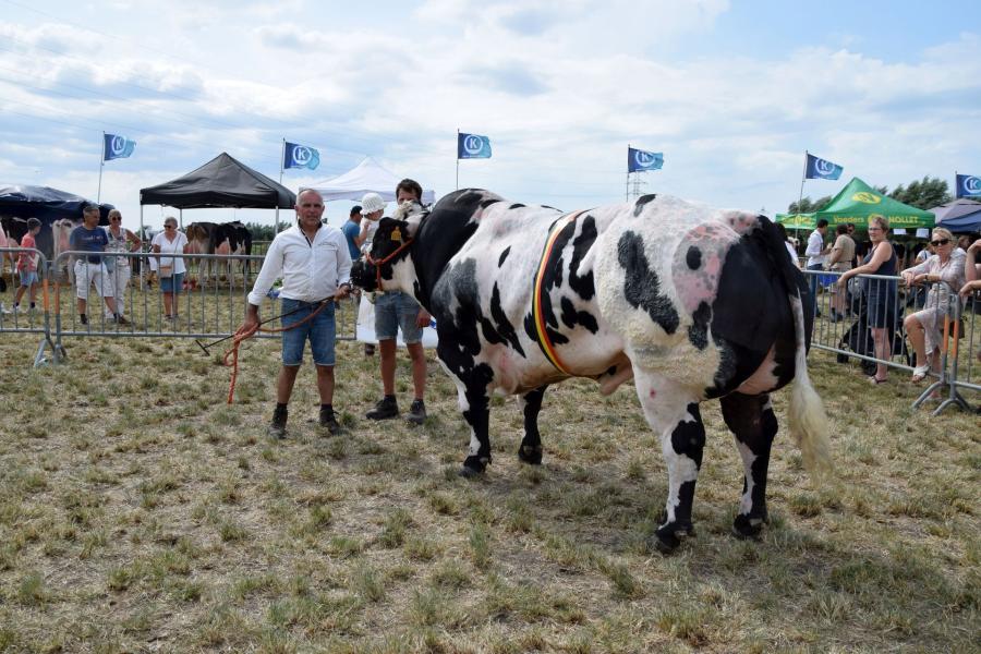 Zanzibar van de Sijsloberg