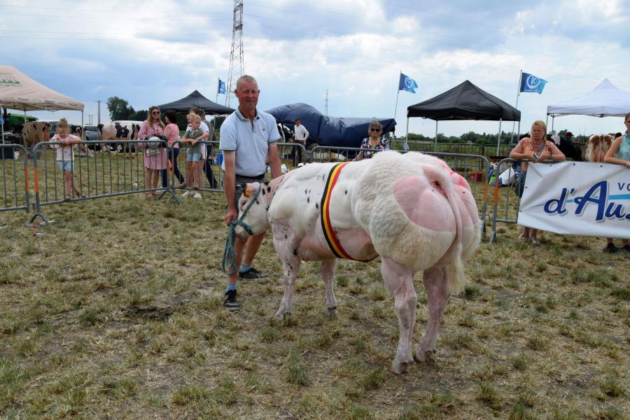 Ulrike van de Stokerij