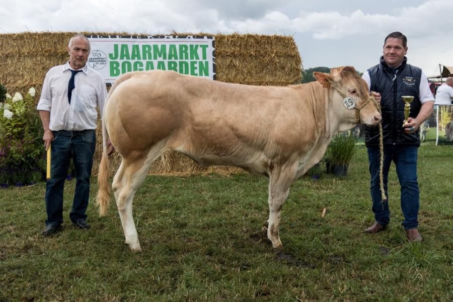 Blondes Bogaarden 2025 4