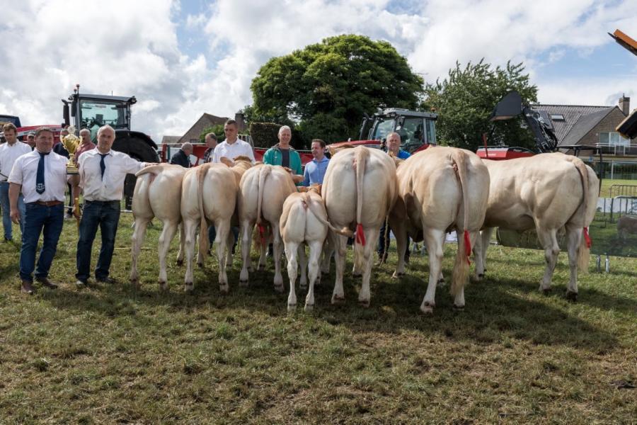 Blondes Bogaarden 2025 7