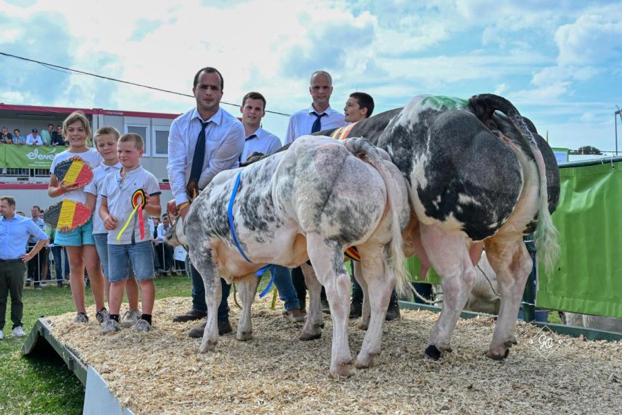 Legalite de Warichet