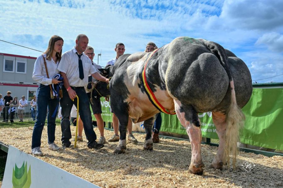 Caribou de la Cleuzeur