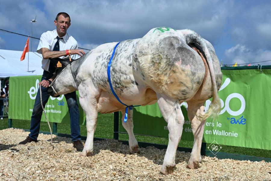 Rejouie de l‘Happe