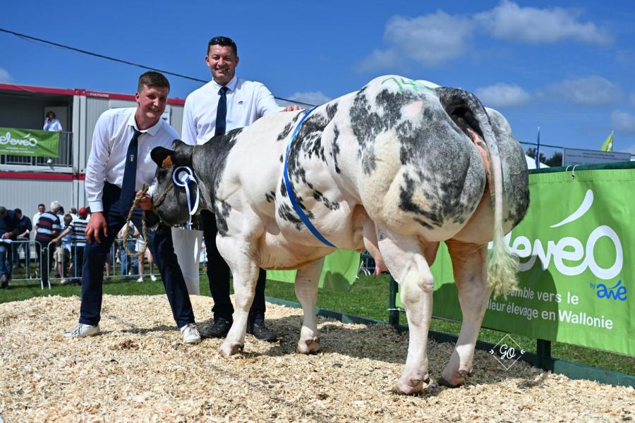 Choupinette de la Vyle 