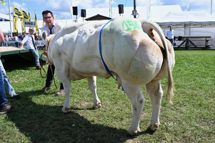 Niagara des Amandiers 