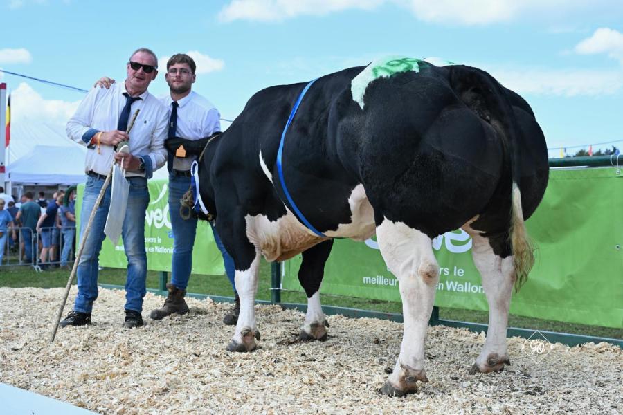 Ironie van’t Kookshof