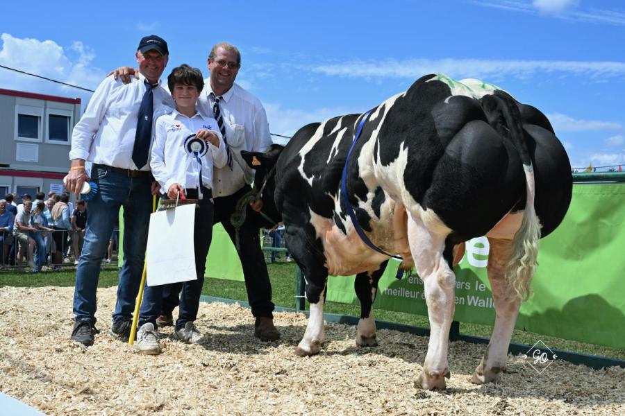 Geranium de Belle Eau