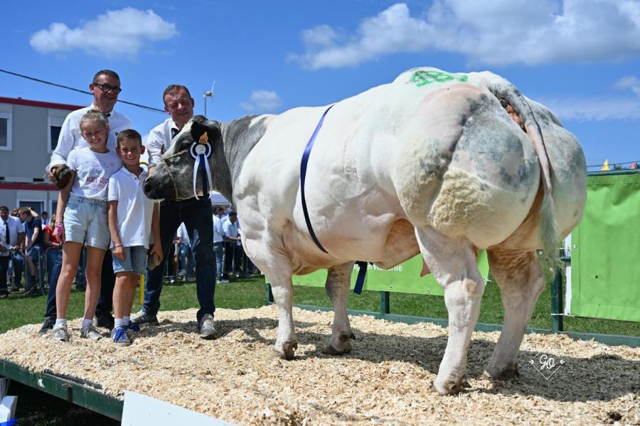 élassée de Thiboumont