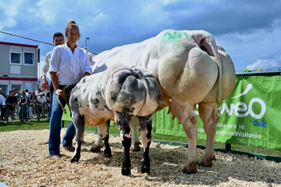 Reaction de Berligant