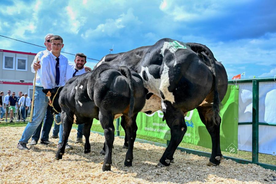 Comedienne de Sberchamps