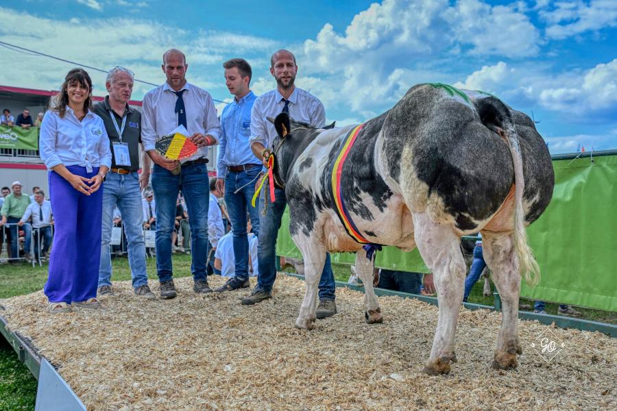 Glaneuse de Montigny