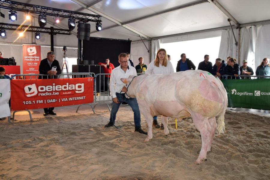 Tonny van het Donkergat