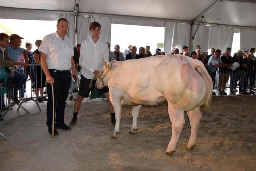Uruguayenne van Klaveren Aas