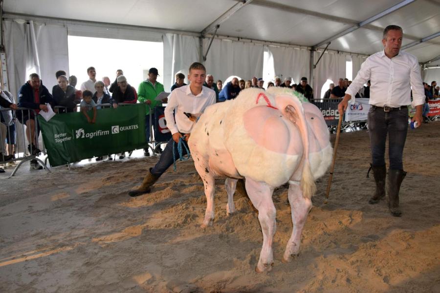 Ulrike van de Stokerij