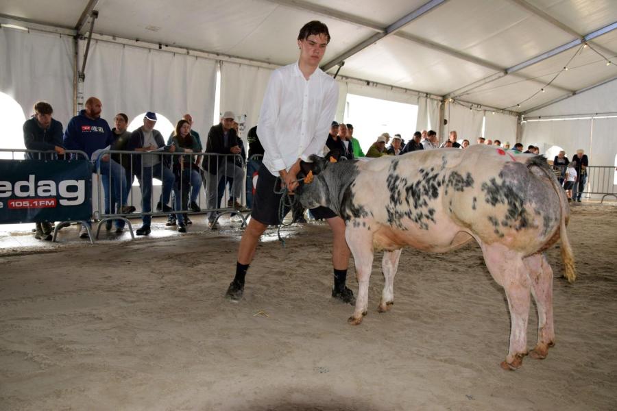 Veuve Clicquot van Klaveren Aas