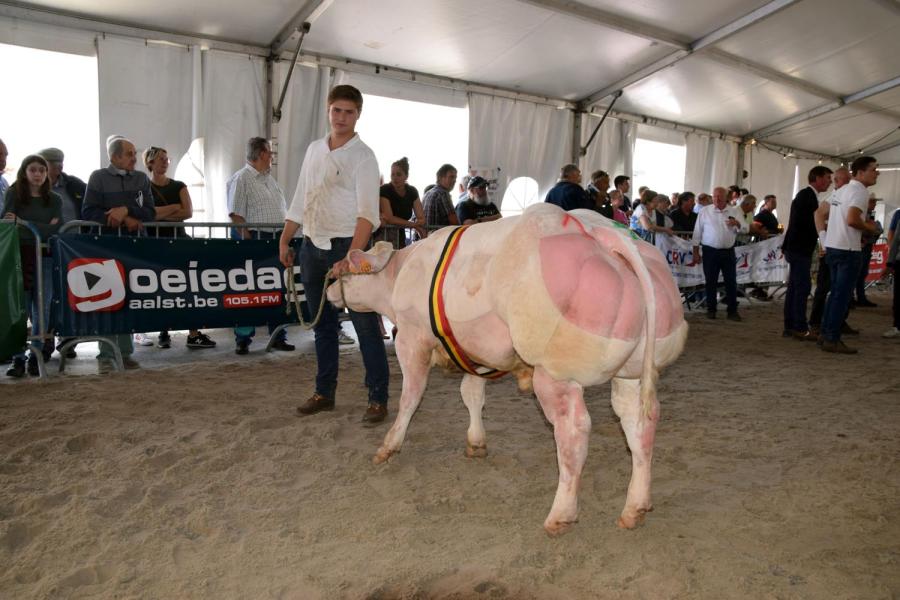 Vilmar van de Pannemeers